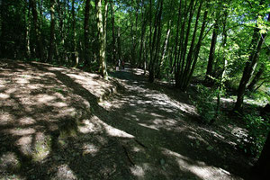 Randonner depuis le gîte du cheval de renfort, à Ohis, en thiérache