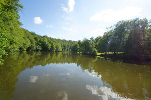 Randonner depuis le gîte du cheval de renfort, à Ohis, en thiérache