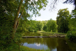 Randonner depuis le gîte du cheval de renfort, à Ohis, en thiérache