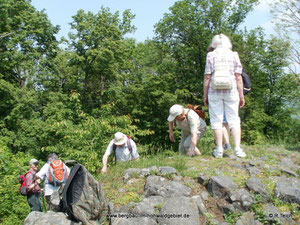 Auf dem Gipfel des Vulkans