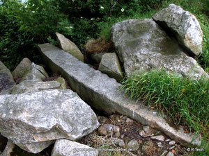 Deckenplatten des Sommerstalls.