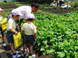 中央線沿線私立小学校合同相談会