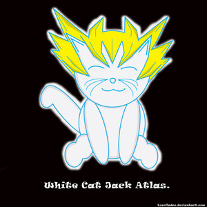 White Cat Jack atlas