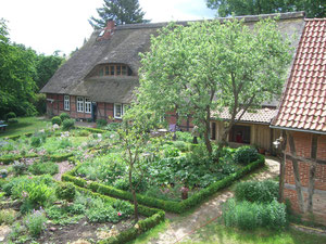 Blick in den Garten und zum Reetdach-Haupthaus.