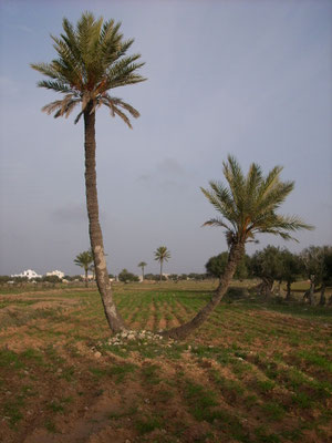 Freunde?