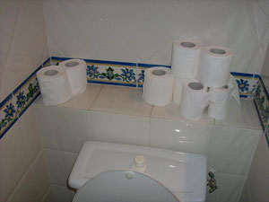 hier weiss man, dass Touris Toilettenpapier benötigen ;-)