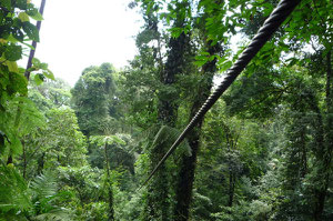 canopy cerca Volcan Arenal