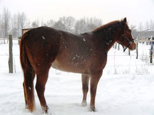 Paula im Winterpulli