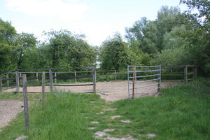 Der Longierzirkel