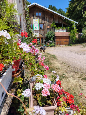Nous faisons partie du réseau Accueil Paysan