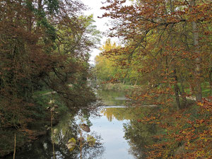 Sauvegarde des bords de l'Aire