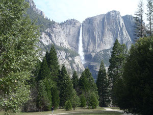 We spent 4 days in Yosemite National Park.