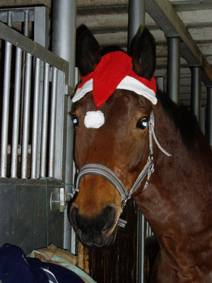 12/2007 - Weihnachtsgrüße von Weyona