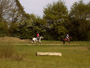 PISTE DE GALOP DE 800 M