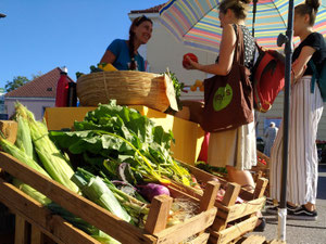 Kundinnen und Buntgemüse am Frischemarkt