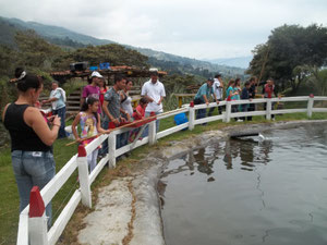EXCELENTE ATENCION