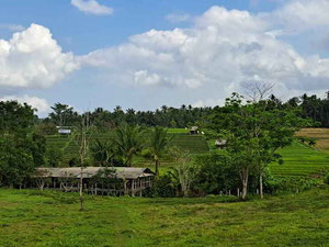 Tabanan land for sale