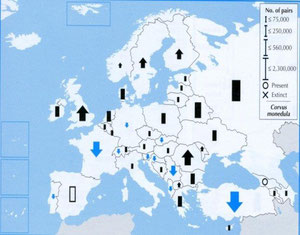 Bestand und Verbreitung in Europa (Karte: BirdLife International)