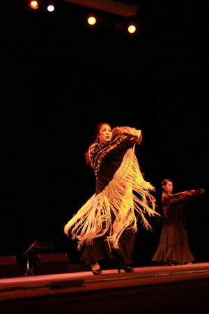 Aire Flamenco 2013