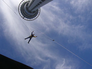 Das ist Markus beim Sprung vom Auckland Tower ! Nach den vielen Wochen mit Muscheln und Baeumen brauchte er das wohl mal.....