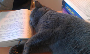 hiccup over the book