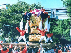 　　　　新居浜太鼓祭り・一宮神社宮入前