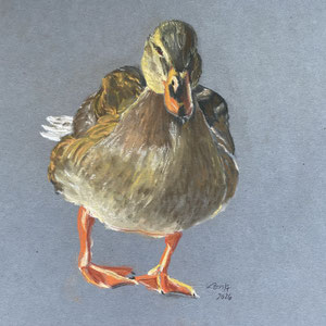 Goldene Schönheit, Pastell, 2026