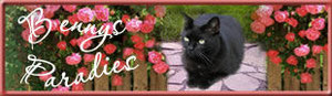 Die Homepage meiner Mutter über ihren Kater Benny