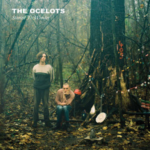 The Ocelots - Started To Wonder