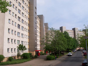 Die Straße "Wohlers Eichen"
