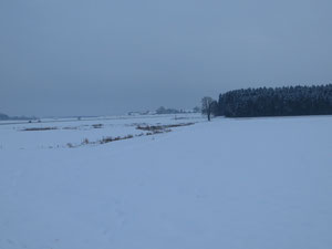 Unbeständiger Winter,hier eine kalte Phase