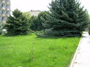 Устраиваем детский праздник