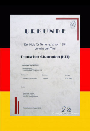 Après son titre de Champion d'Allemagne VDH, nous sommes particulièrement fiers de ce nouveau titre de Champion d'Allemagne du Club des Terriers.