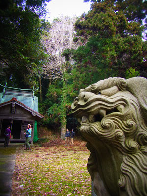 金峰山近くの神社でちょっとお参り&新年の決意・・・ぱちぱち♪　今年もいい１年になるようがんばります！　