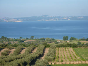 le lac de Bolsena vu des collines environnantes