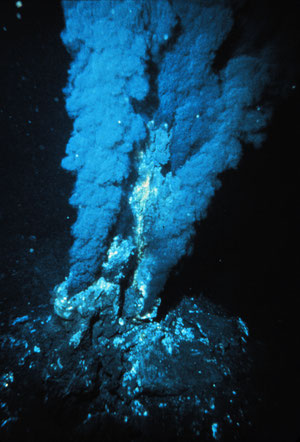 cheminee hydrothermale