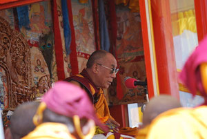 His Holiness Dalai Lama, Tibet, Dharamsala, Lhasa, Ladakh, Leh, Kalachakra, Himalaya, India