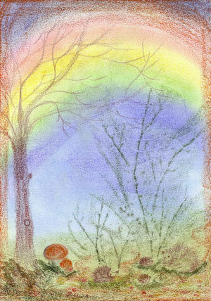 Regenbogen