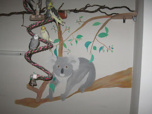 Koala (Wasserfarbe auf Zimmerwand) 2008