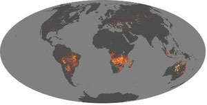 2010　Nov. (11月)         by NASA