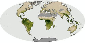 図５ 2007年　アマゾンの火災と熱帯の降雨　ｂｙ　Nasa　　Net Primary Productivity　Total Rainfall　2007年