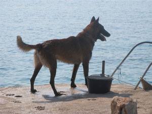 Aaron in Kroatien