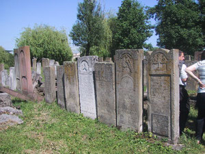 Cimetière juif de Tarnopol