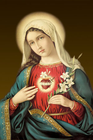 Immaculate Heart Of Mary Free Gift For End Times See more of immaculate heart of mary on facebook. immaculate heart of mary free gift