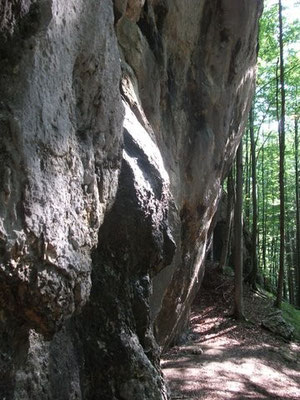 Felsüberhang Israelit Hohenschwangau