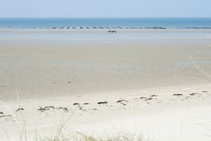 La plage de Lingreville