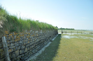ancien mur d'amarrage sur la Sienne