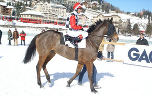 Vlavianus mit dem Star-Jockey L. Dettori im GP Gübelin 2010 in St. Moritz