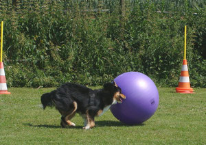 Treibball mit 7 Monaten