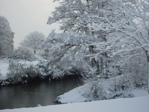 la Sienne sous la neige (hiver 2010)